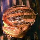 Venison Medallions - Image 2