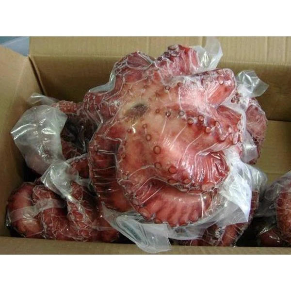 Tako Octopus (Whole) - Image 4